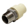 Apollo By Tmg 1/2 in. x 1/2 in. CPVC CTS Slip Stainless Steel MPT Adapter CPVCMA12